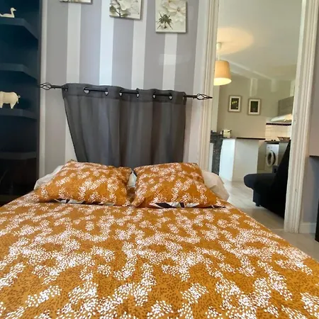 Aurore Apartment Carcassonne