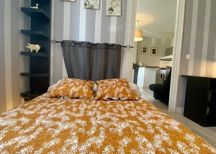 Aurore Appartement Carcassonne